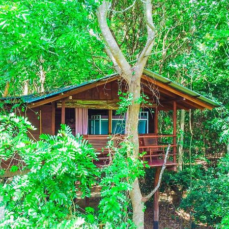 Jungle Host Hostel And Tree House Сігірія Екстер'єр фото