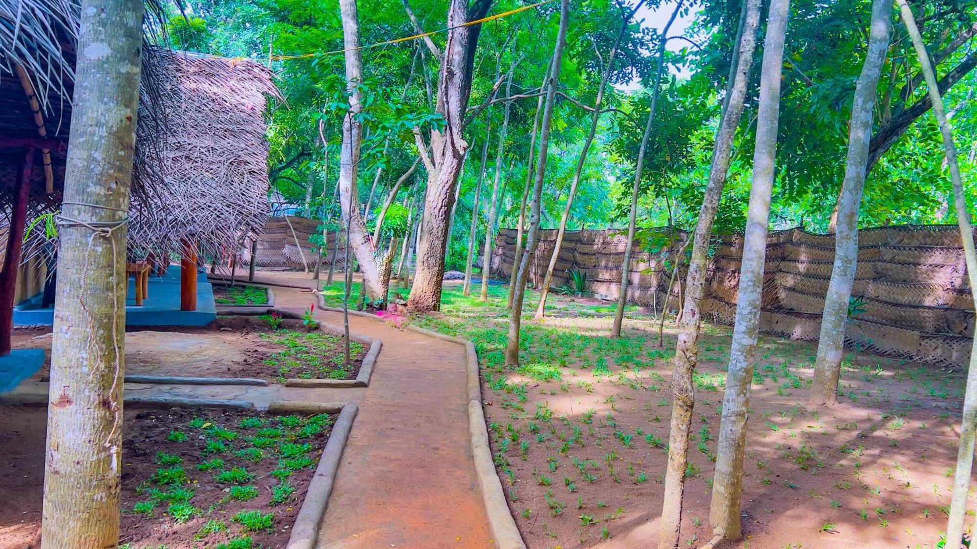 Jungle Host Hostel And Tree House Сігірія Екстер'єр фото