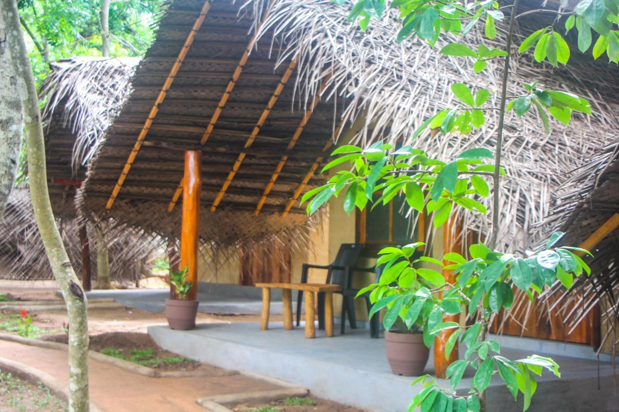 Jungle Host Hostel And Tree House Сігірія Екстер'єр фото