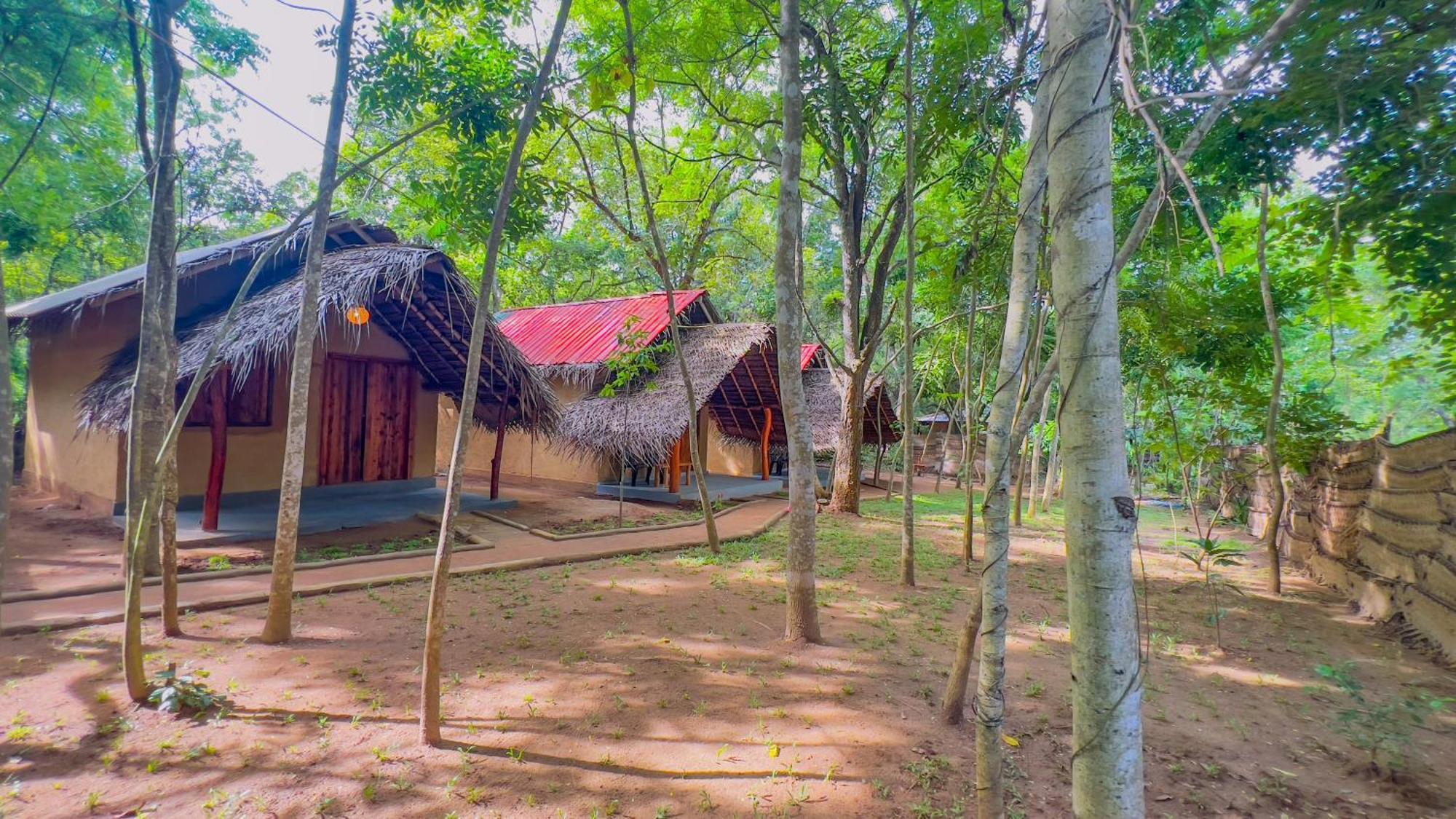 Jungle Host Hostel And Tree House Сігірія Екстер'єр фото
