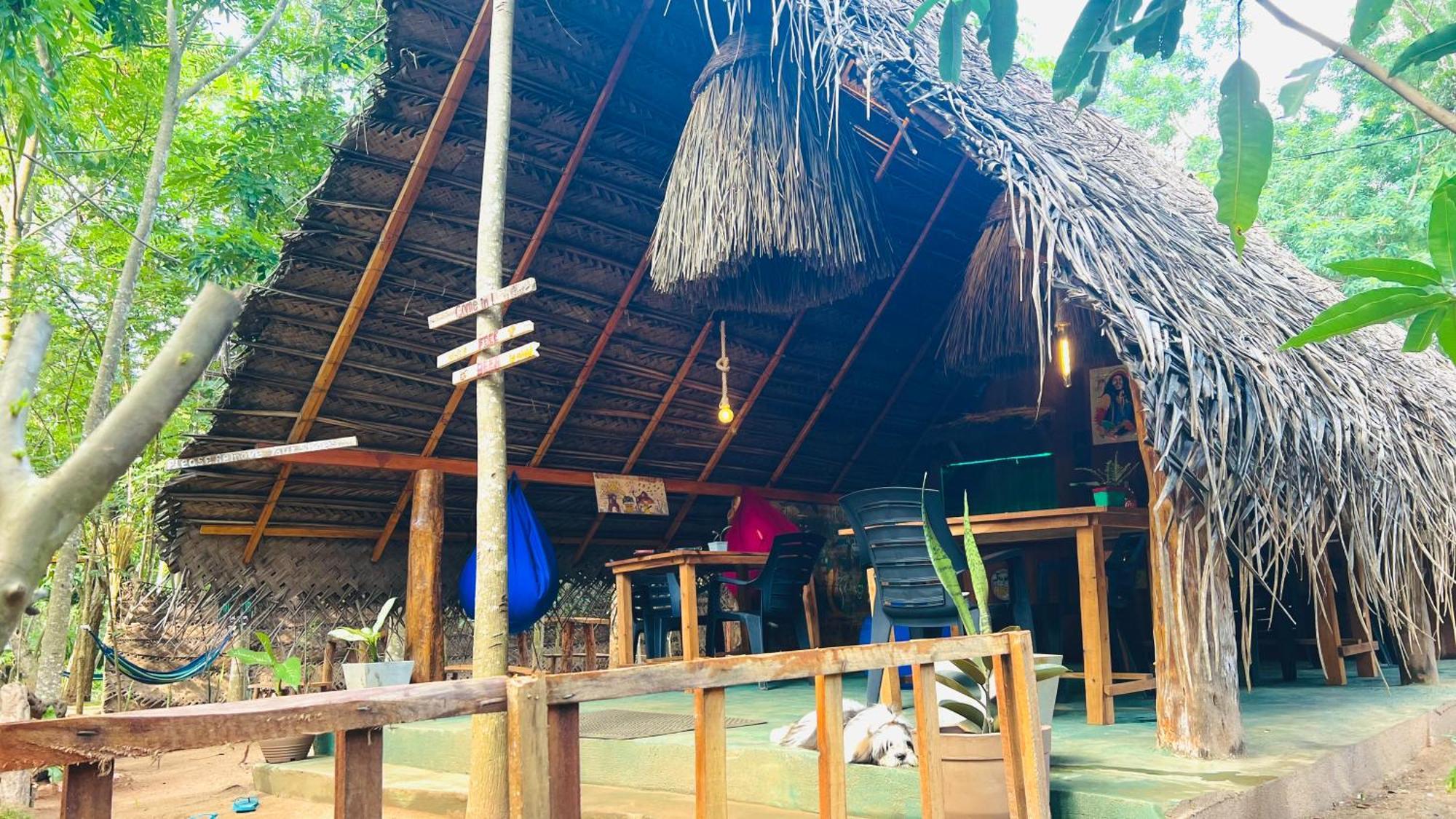 Jungle Host Hostel And Tree House Сігірія Екстер'єр фото