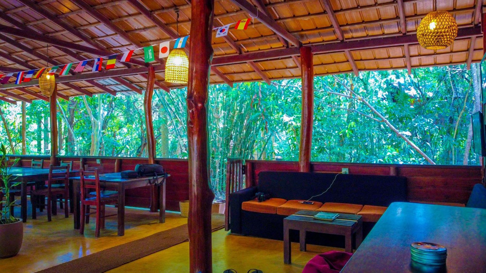 Jungle Host Hostel And Tree House Сігірія Екстер'єр фото