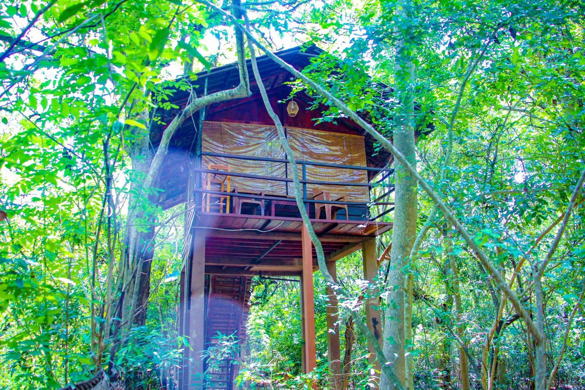 Jungle Host Hostel And Tree House Сігірія Екстер'єр фото