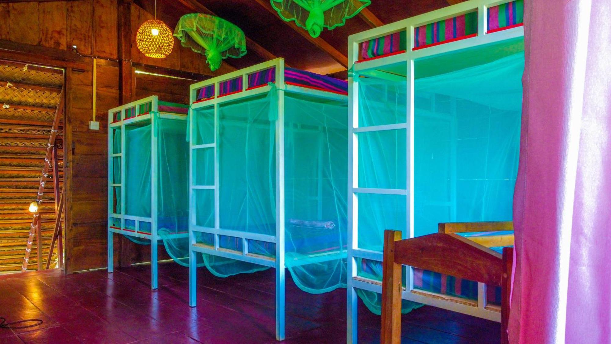 Jungle Host Hostel And Tree House Сігірія Екстер'єр фото