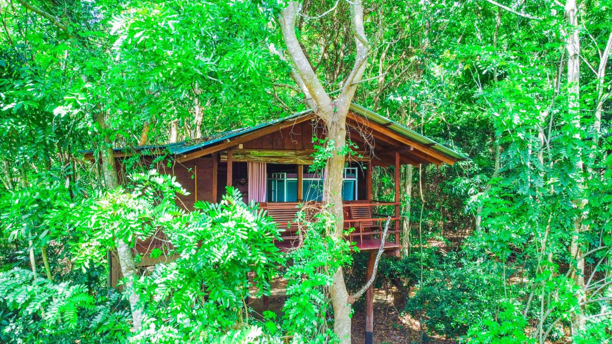 Jungle Host Hostel And Tree House Сігірія Екстер'єр фото