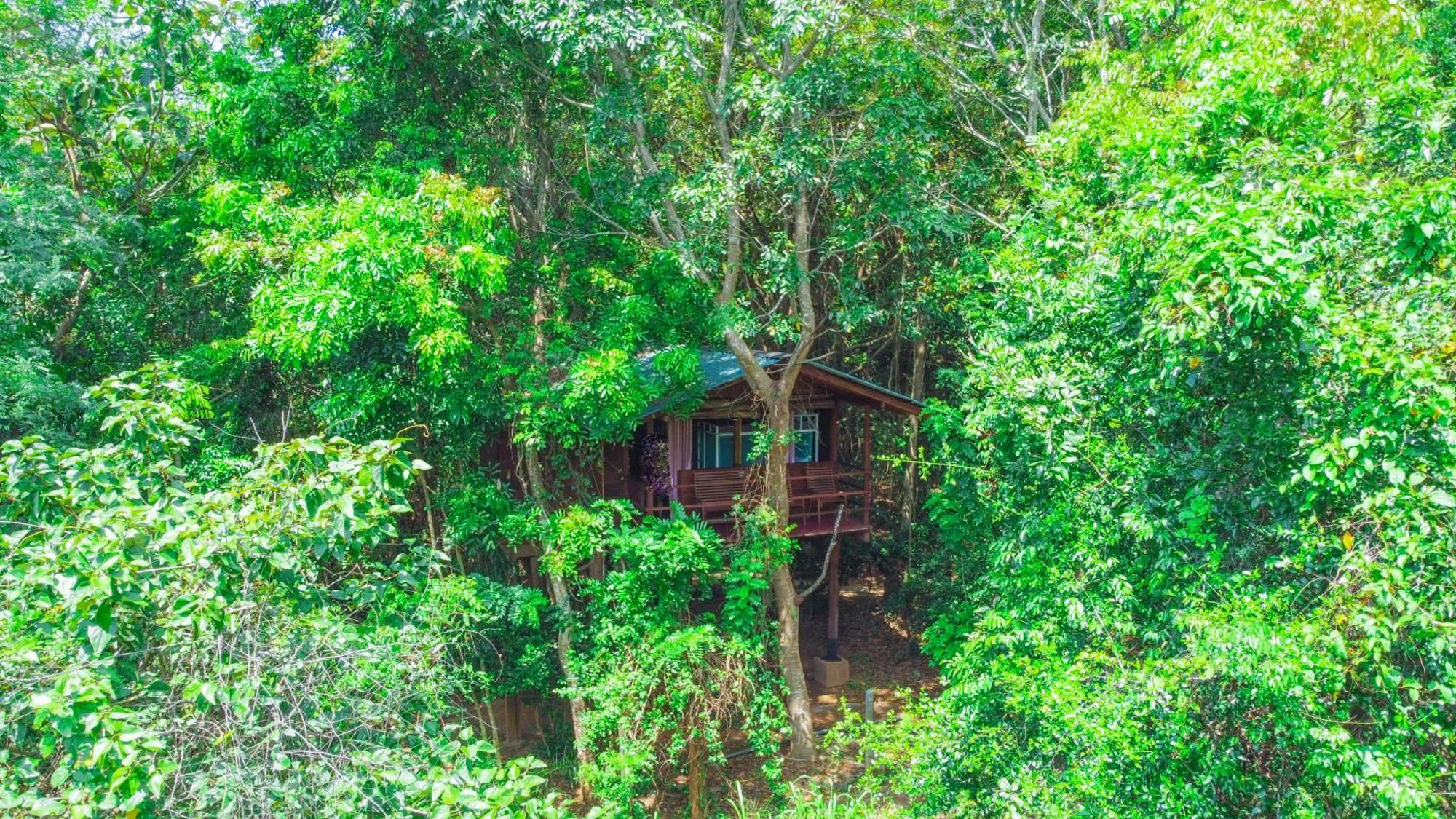 Jungle Host Hostel And Tree House Сігірія Екстер'єр фото