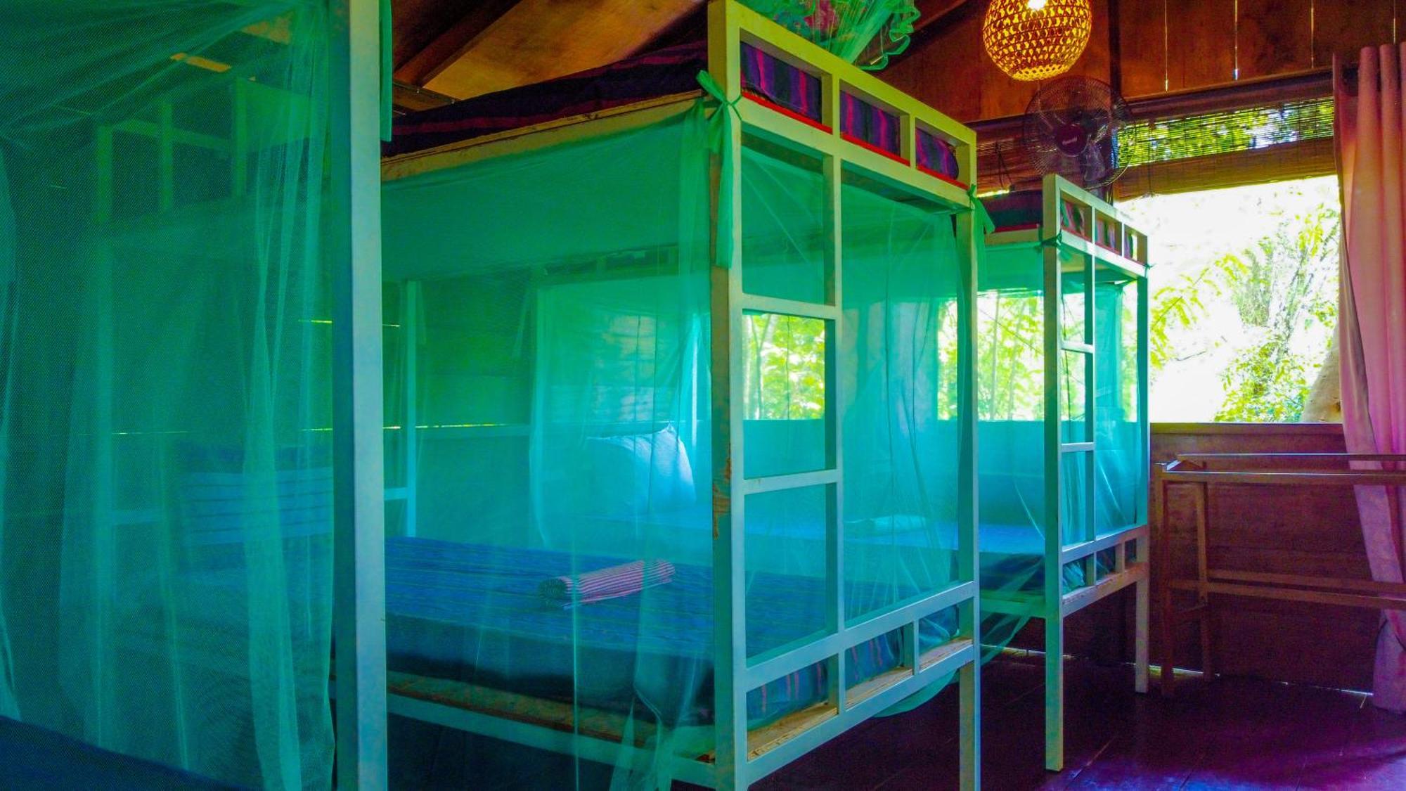 Jungle Host Hostel And Tree House Сігірія Екстер'єр фото