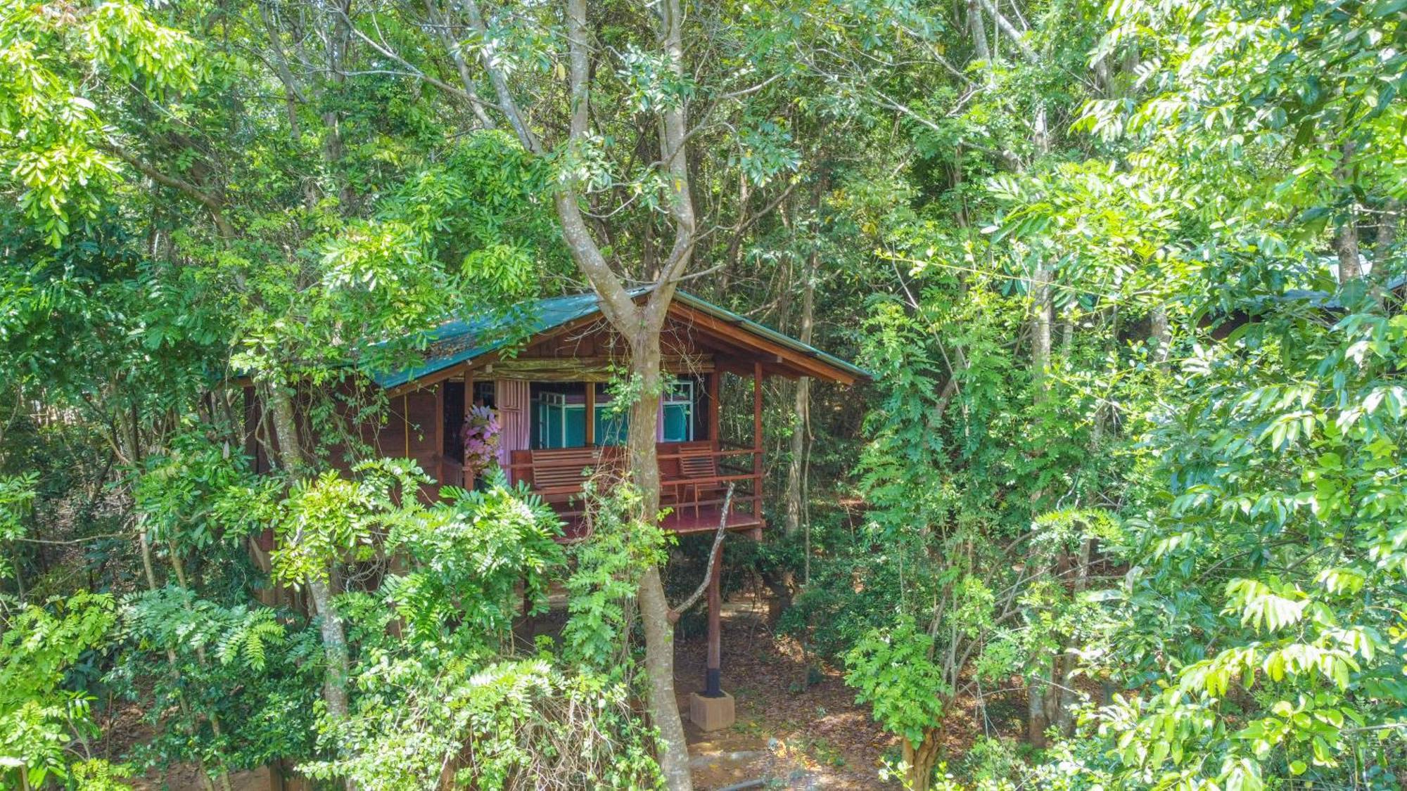 Jungle Host Hostel And Tree House Сігірія Екстер'єр фото