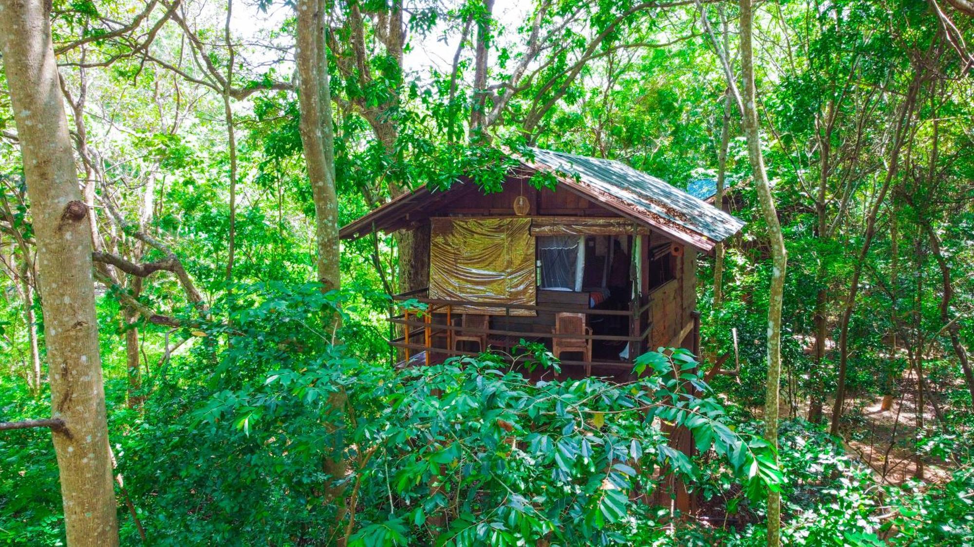 Jungle Host Hostel And Tree House Сігірія Екстер'єр фото
