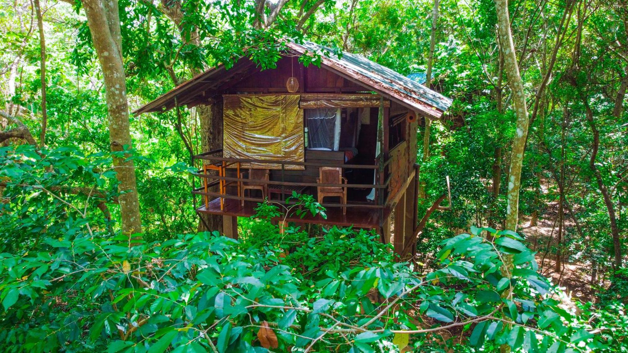 Jungle Host Hostel And Tree House Сігірія Екстер'єр фото
