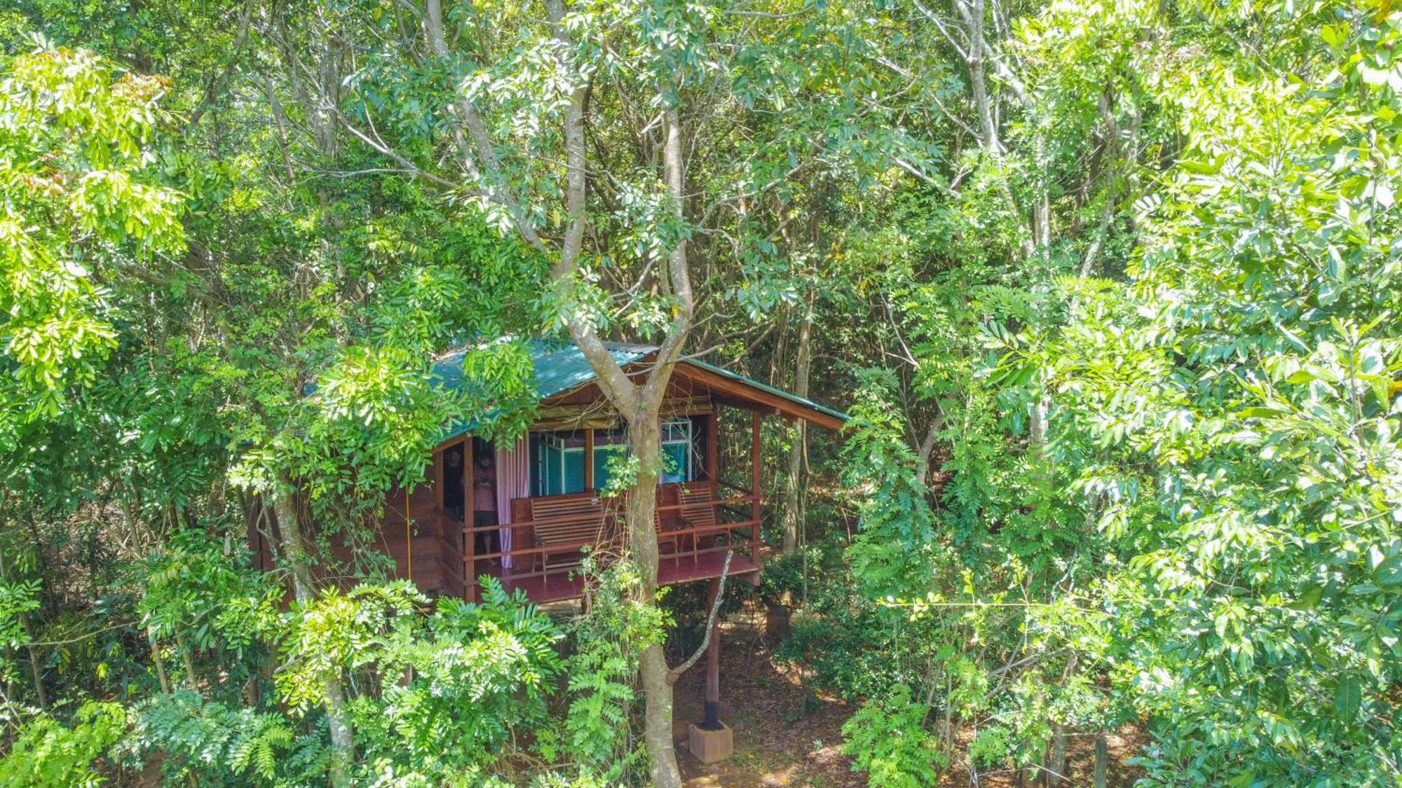 Jungle Host Hostel And Tree House Сігірія Екстер'єр фото