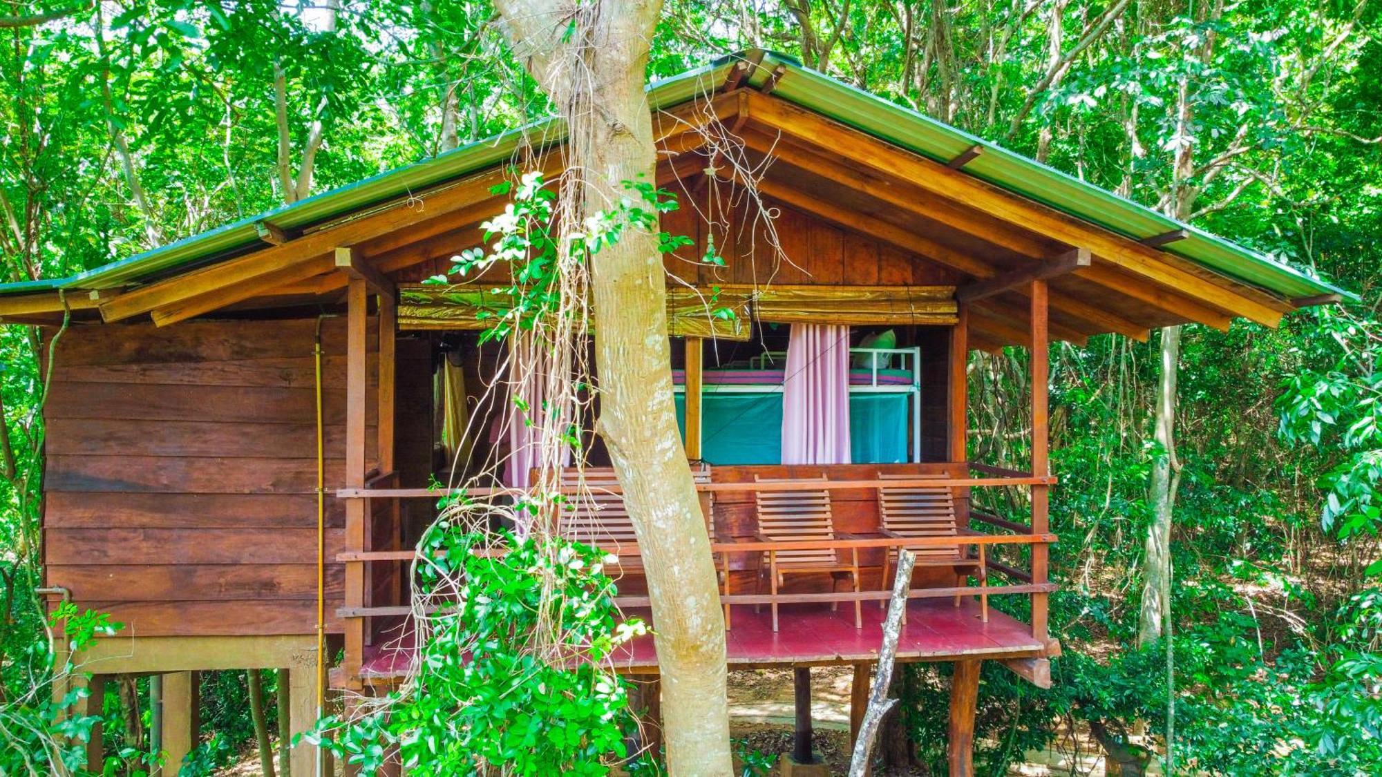 Jungle Host Hostel And Tree House Сігірія Екстер'єр фото