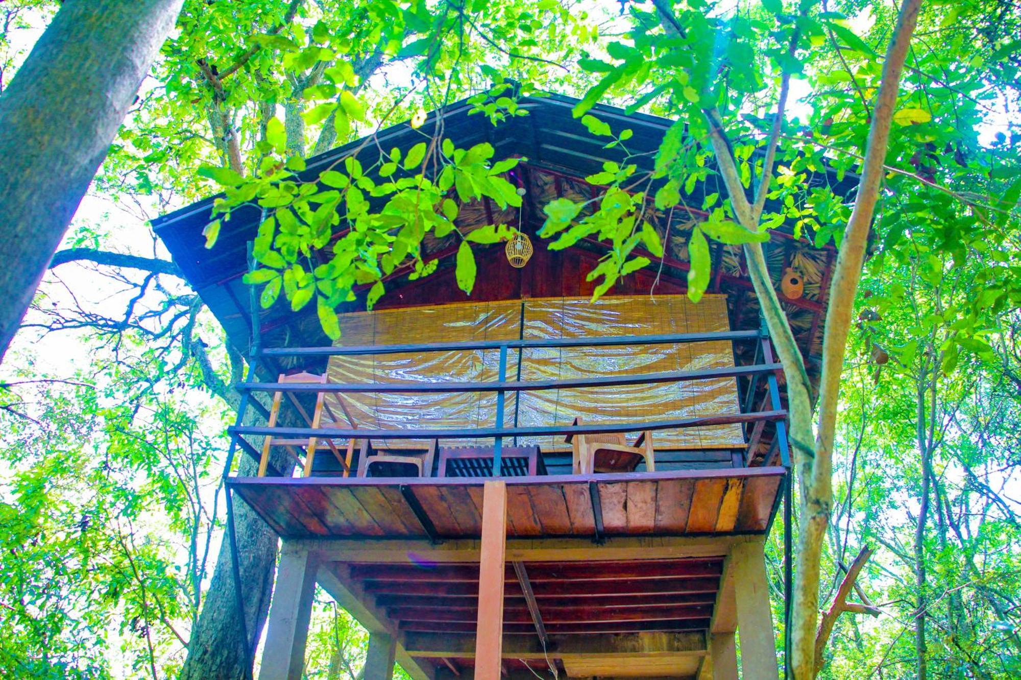 Jungle Host Hostel And Tree House Сігірія Екстер'єр фото