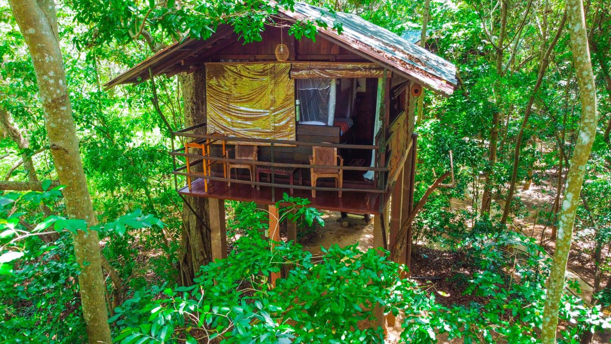 Jungle Host Hostel And Tree House Сігірія Екстер'єр фото
