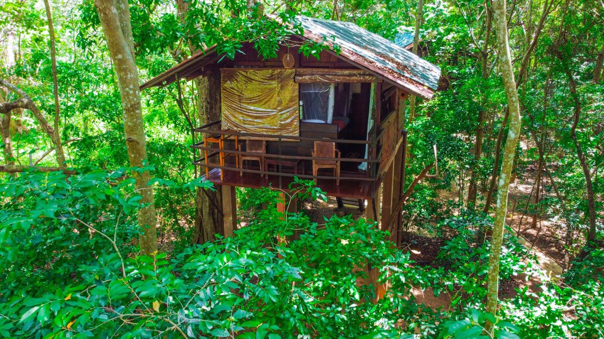 Jungle Host Hostel And Tree House Сігірія Екстер'єр фото